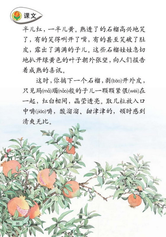 小学三年级语文上册课本石榴_苏教版小学课本