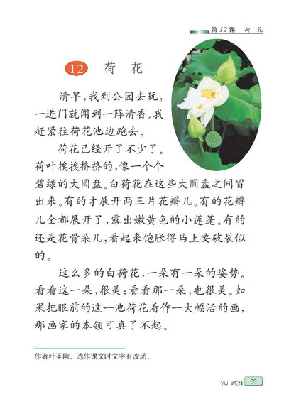 苏教版小学三年级语文下册课文荷花