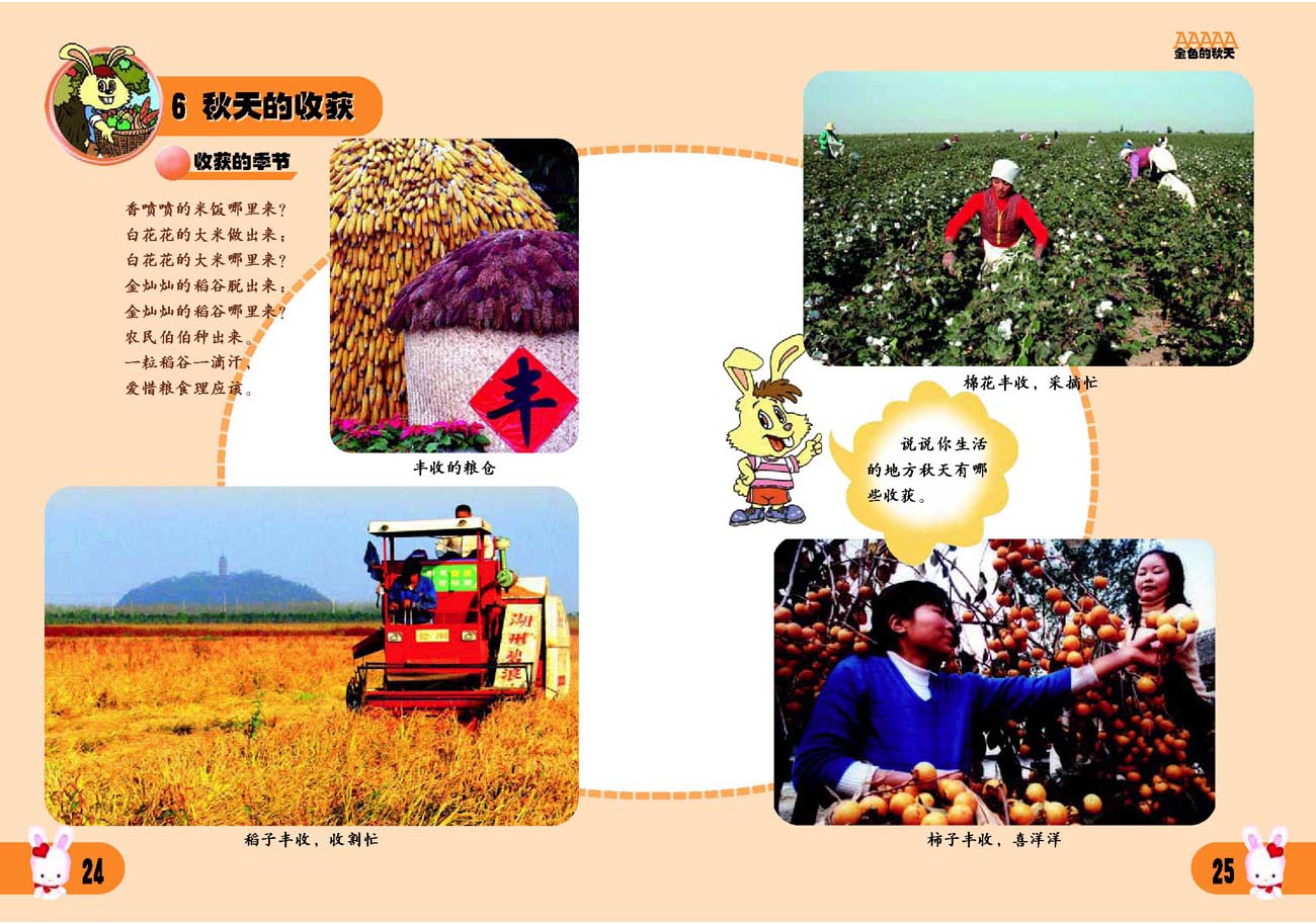 提示:小学二年级品德与生活上册6秋天的收获的图片 ...