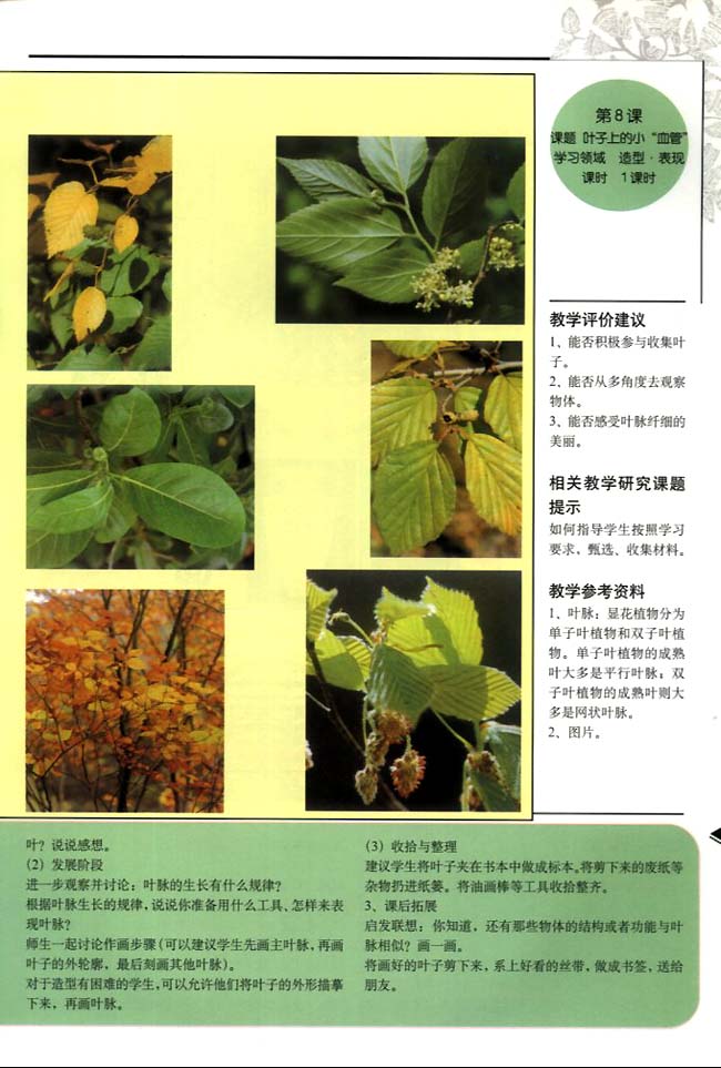 关键词:小学二年级美术下册教师教学用书教学评价建议人教版,美术,二年级,下册,教师教学用书 摘 要:城市学校网为您提供小学二年级美术下册教师教学用书教学评价建议,人教版小学课本,希望本站可以为您带来方便......