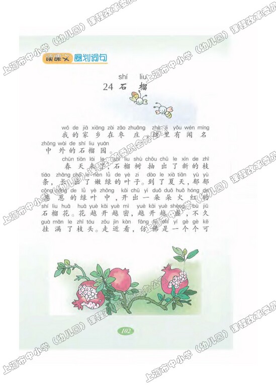 读课文圈划词句24.石榴