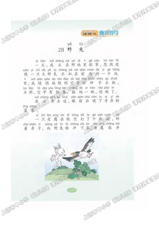 读课文圈划词句28.野兔