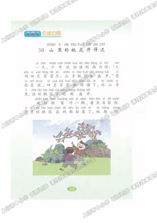 读课文边读边想38.山里的桃花开得迟