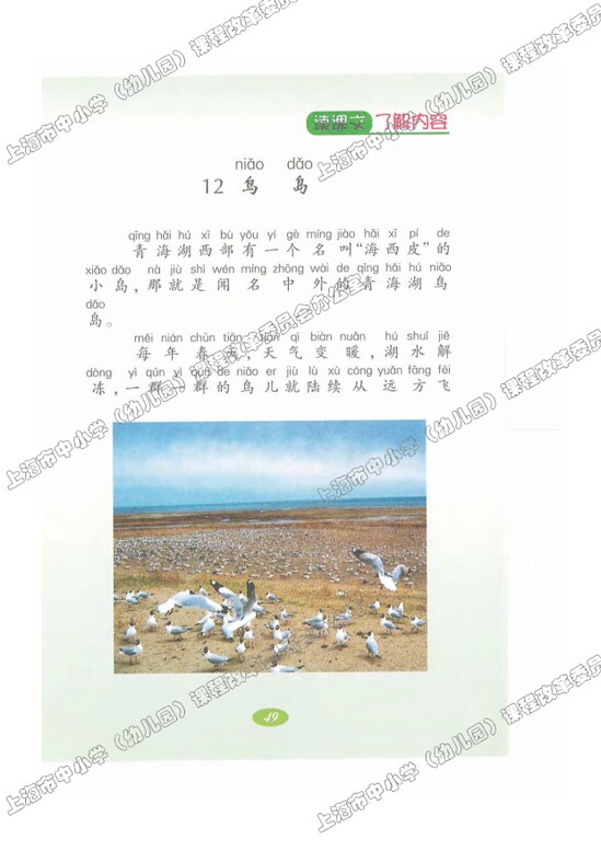 读课文了解内容12.鸟岛|沪教版小学二年级语文上册课本