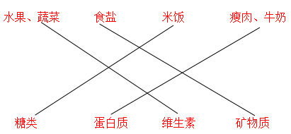 2021年教科版小学四年级科学上册期末综合测试题及答案