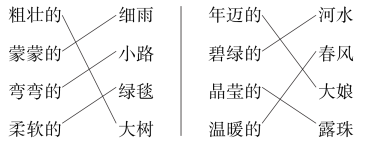 2021年部编版小学二年级语文下册《第二单元》测试试卷及答案