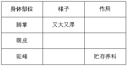 2021年部编版小学三年级语文下册期中考试试卷及答案