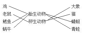 2021年小学三年级科学下册《第二单元 动物的一生》达标试卷及答案(教科版)