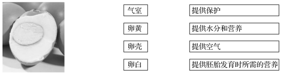 2021年教科版小学三年级科学下册期末考试试卷及答案（2份）