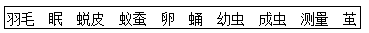 2021年教科版小学三年级科学下册期末考试试卷及答案（2份）