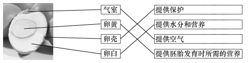 2021年教科版小学三年级科学下册期末考试试卷及答案（2份）