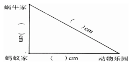 2021年北京版二年级数学上册《第一单元 认识厘米和米》测试题及答案