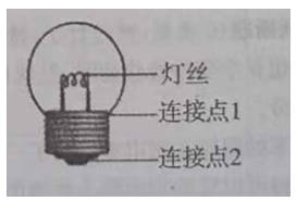 教科版2023年小升初科学模拟试卷可免费下载打印（附答案）