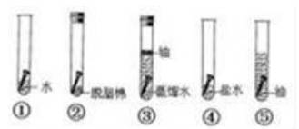 教科版2023年小升初科学模拟试卷可免费下载打印（附答案）