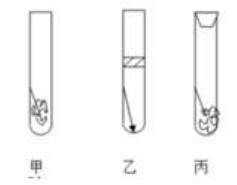 教科版2023年小升初科学模拟试卷可免费下载打印（附答案）