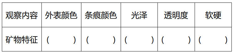 科教版2023年四年级科学下册期末检测卷免费下载打印（附答案）