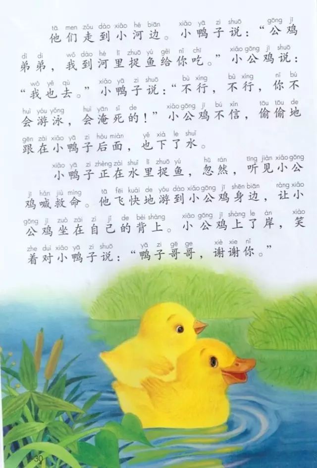《课文·5小公鸡和小鸭子》部编人教版小学一年级语文下册课本全册教材