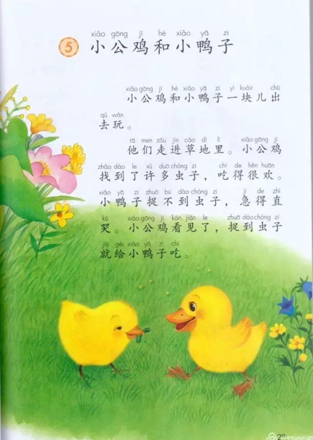 《课文·5小公鸡和小鸭子》部编人教版小学一年级语文下册课本全册教材