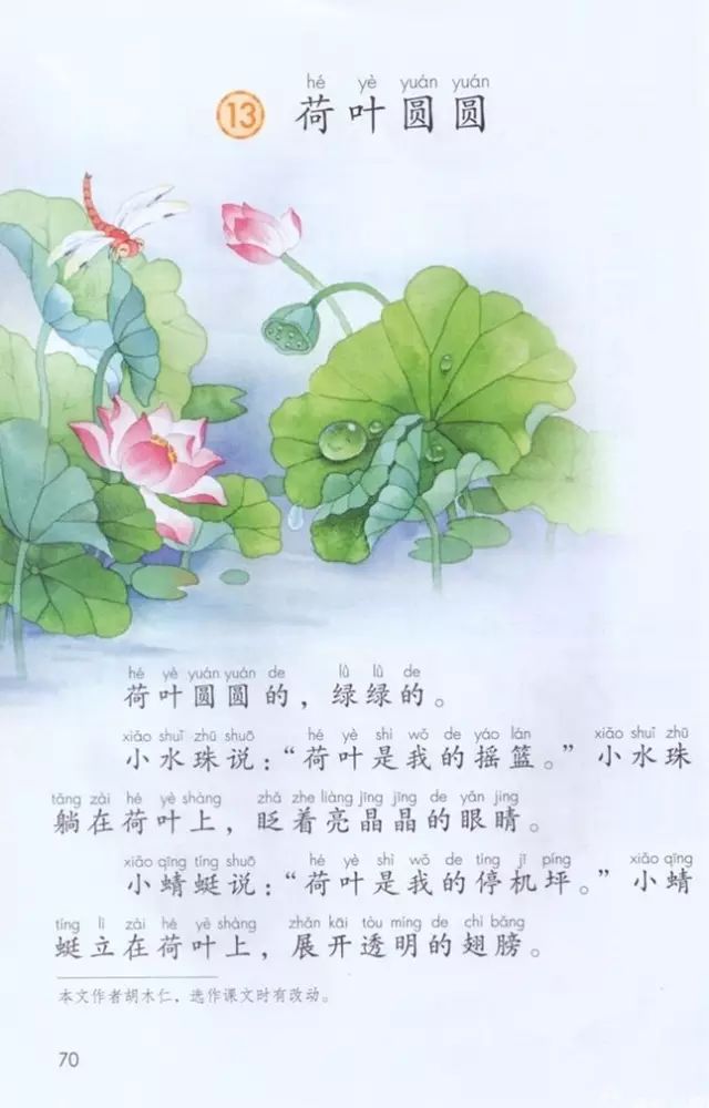 《课文·13荷叶圆圆》部编人教版小学一年级语文下册课本全册教材