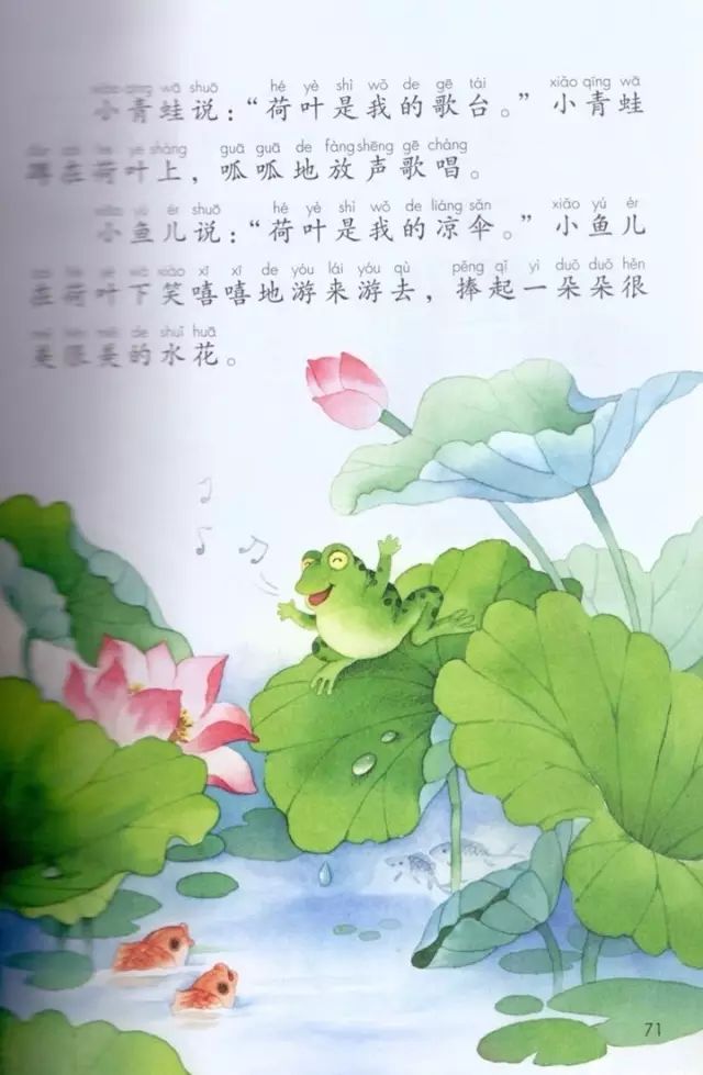 《课文·13荷叶圆圆》部编人教版小学一年级语文下册课本全册教材