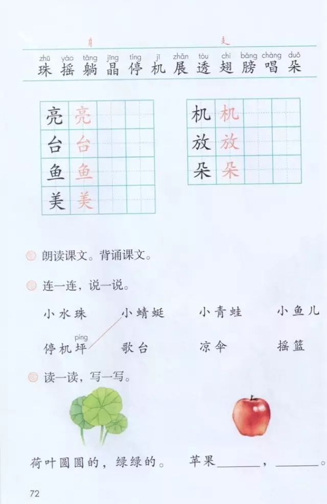 《课文·13荷叶圆圆》部编人教版小学一年级语文下册课本全册教材