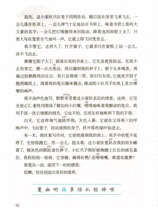 《4.珍珠鸟·第一单元》人教版小学五年级语文上册2019年5月发版课本全册教材