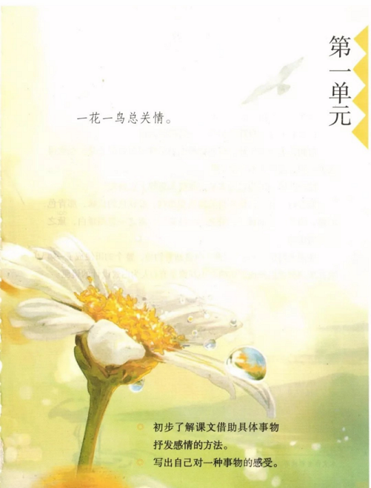 《1.白鹭·第一单元》人教版小学五年级语文上册2019年5月发版课本全册教材