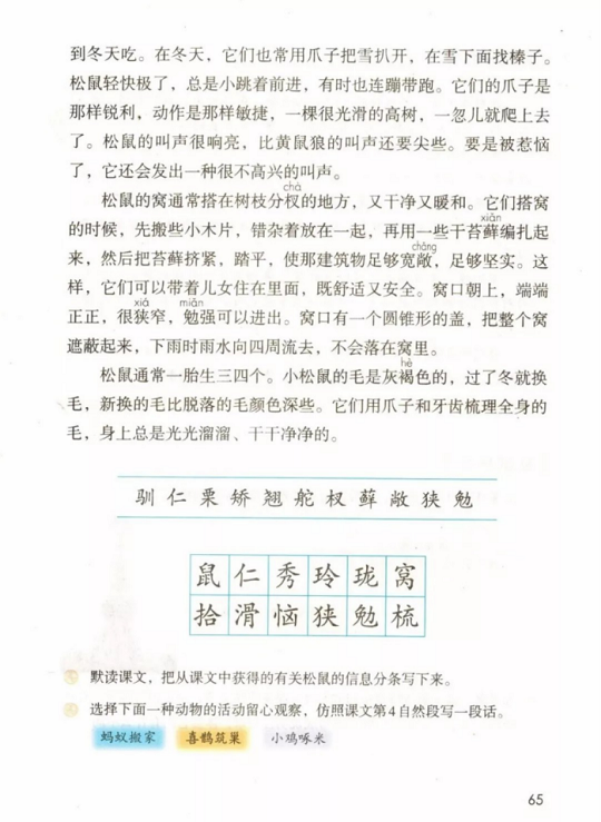 《16.松鼠·第五单元》人教版小学五年级语文上册2019年5月发版课本全册教材