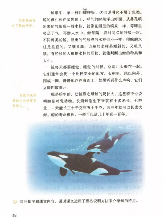 《习作·第五单元》人教版小学五年级语文上册2019年5月发版课本全册教材
