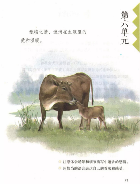 《17.慈母情深·第六单元》人教版小学五年级语文上册2019年5月发版课本全册教材