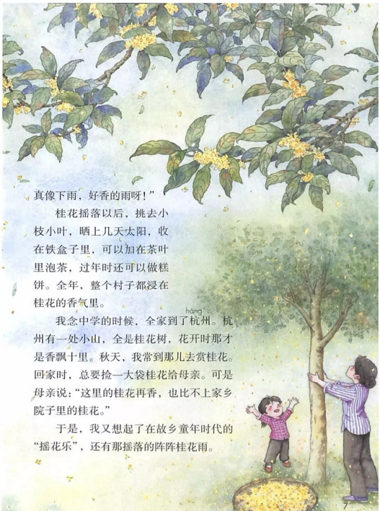 《3.桂花雨·第一单元》人教版小学五年级语文上册2019年5月发版课本全册教材