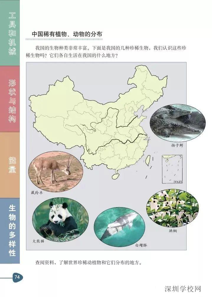 《2.校园生物分布图生物的多样性》教科版小学六年级科学上册课本_教科版小学课本
