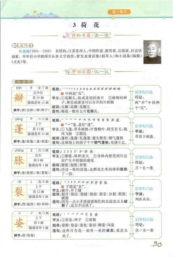 课文 荷花 教材解读新人教部编版小学三年级语文下册 小学课本网 课文 荷花 教材解读新人教部编版小学三年级语文下册 小学课本网