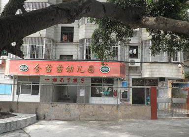 深圳市龙岗区横岗金苗苗幼儿园