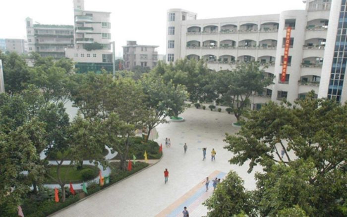 深圳市宝安区宝城小学介绍