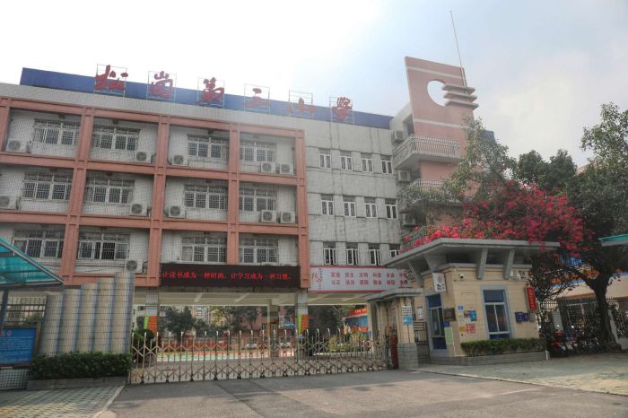 深圳市宝安区松岗第三小学介绍