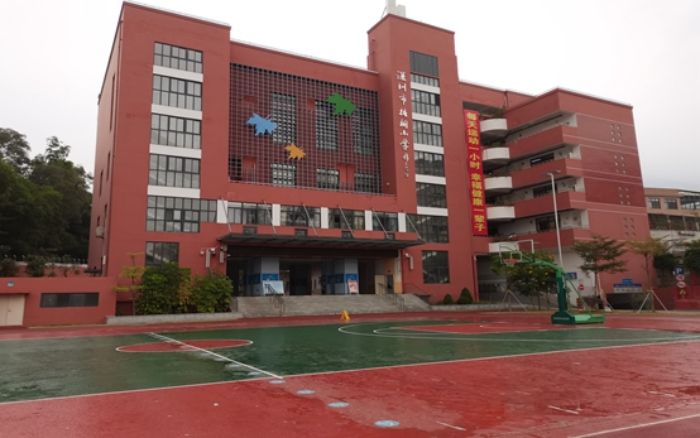 深圳市梧桐小学介绍