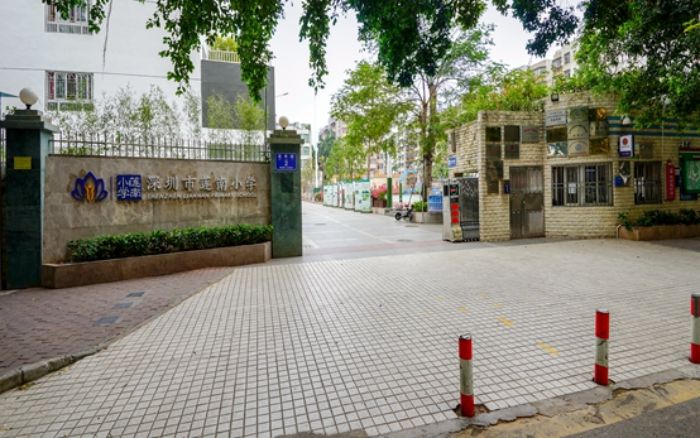 深圳市莲南小学介绍