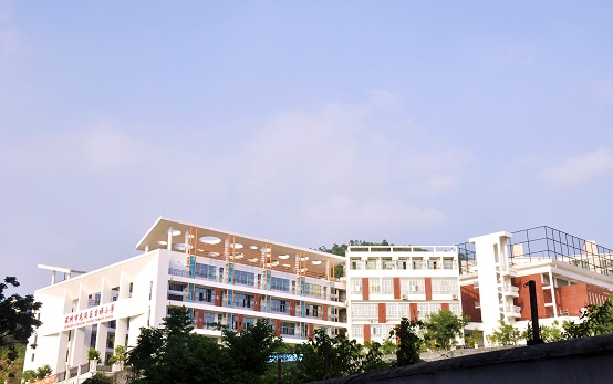 深圳市龙岗区吉祥小学介绍